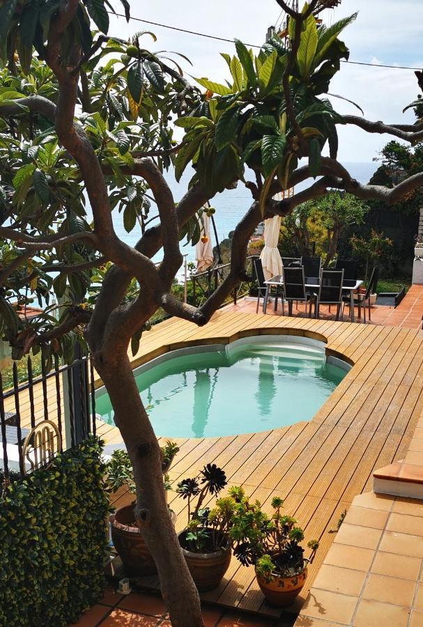 Vue Magnifique, Piscine Privee Chauffee Et Sauna A 10Min De Monaco ロクブリュヌ＝カップ＝マルタン エクステリア 写真